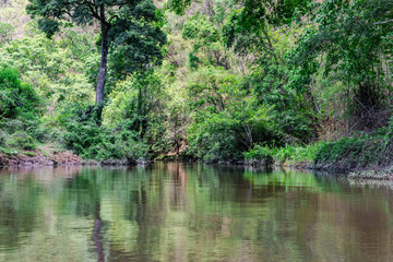 Calm river flowing gently through woodland landscape.