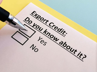 One person is answering quetion about export credit.