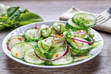 Healthy diet green salad with cucumbers in a white plate, fork over a dish, shallow depth of field, selective focus. Organic food concept.