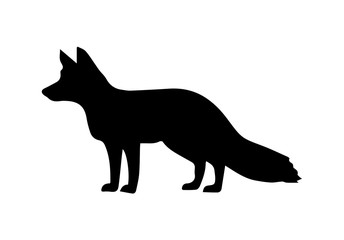 Fox silhouette on white background