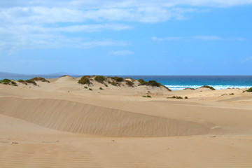 Fototapeta na wymiar beach and dunes in port lincoln, south australia