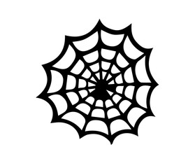 Spider Web on White Background