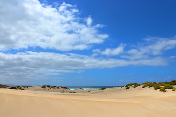 Fototapeta na wymiar sand dunes on the beach in port lincoln, australia