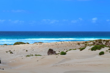 beach and sea in port lincoln, australia