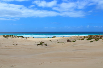 beach and sea in port lincoln, australia