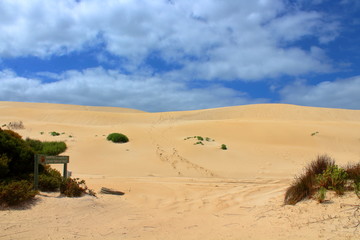 Fototapeta na wymiar sand dunes in port lincoln, australia