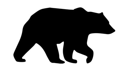 Bear Silhouette On White Background,