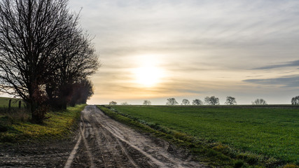 Fototapeta na wymiar neblige Winterlandschaft in Mecklenburg mit der Sonne hinter dichten Wolken