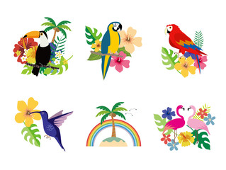 南国イメージイラスト