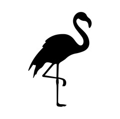 Fototapeta premium Silhouette of flamingo on white background