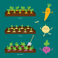 Set of Vegetable garden. Organic and healthy food Cartoon Vector illustration.