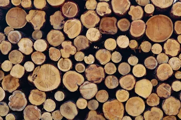 Möbelaufkleber Wooden background, a lot of wood from round timber. © Ерлан Касымбеков