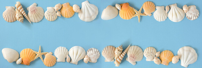 Shells on a blue background © tamayura39