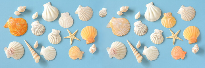 Shells on a blue background