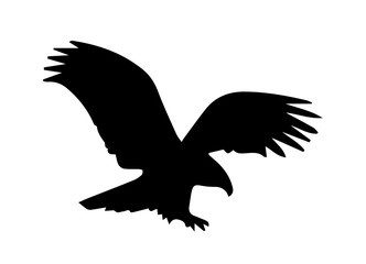 Eagle silhouette on white background.