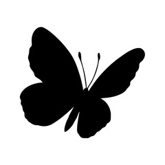 Silhouette of butterfly on white background
