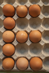 Chicken eggs in the tray