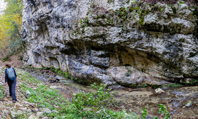 hiker in the woods and fog