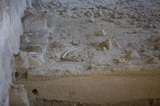 Antiche ossa di mammut del periodo Pleistocene nel bacino di Venosa nel Parco di Notarchirico in Basilicata in Italia del Sud