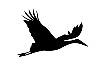 Fototapeta premium Silhouette of stork on white background