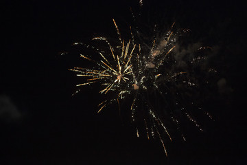fireworks in the night sky on a holiday