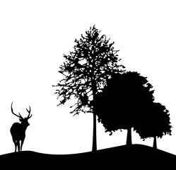forest silhouette is on white background and have deer