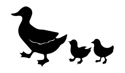 duck silhouette on white background