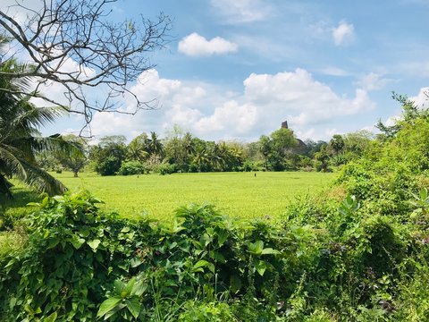 Jethawanaramaya, Anuradhapura