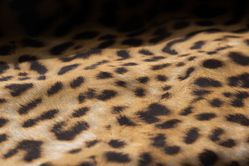 
folded cheetah scarf