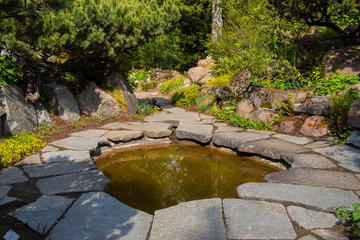 Pond. Reservoir. Wild nature. Botanic Garden.