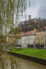 Panorama of Ljubljana castle on a dull gray day. Rainy day in Ljubljana with a view towards the Castle hill with a tree in the foreground.