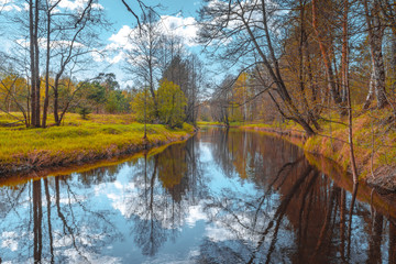 Obraz premium Colorful autumn trees at a small forest river. Leaves, brightly.