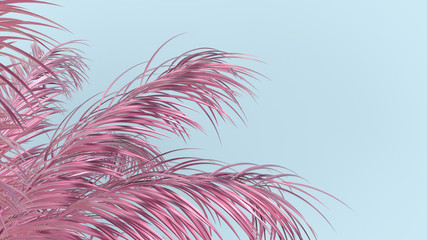 3d render illustration of pink palm leaves and blue sky. Modern trendy design.