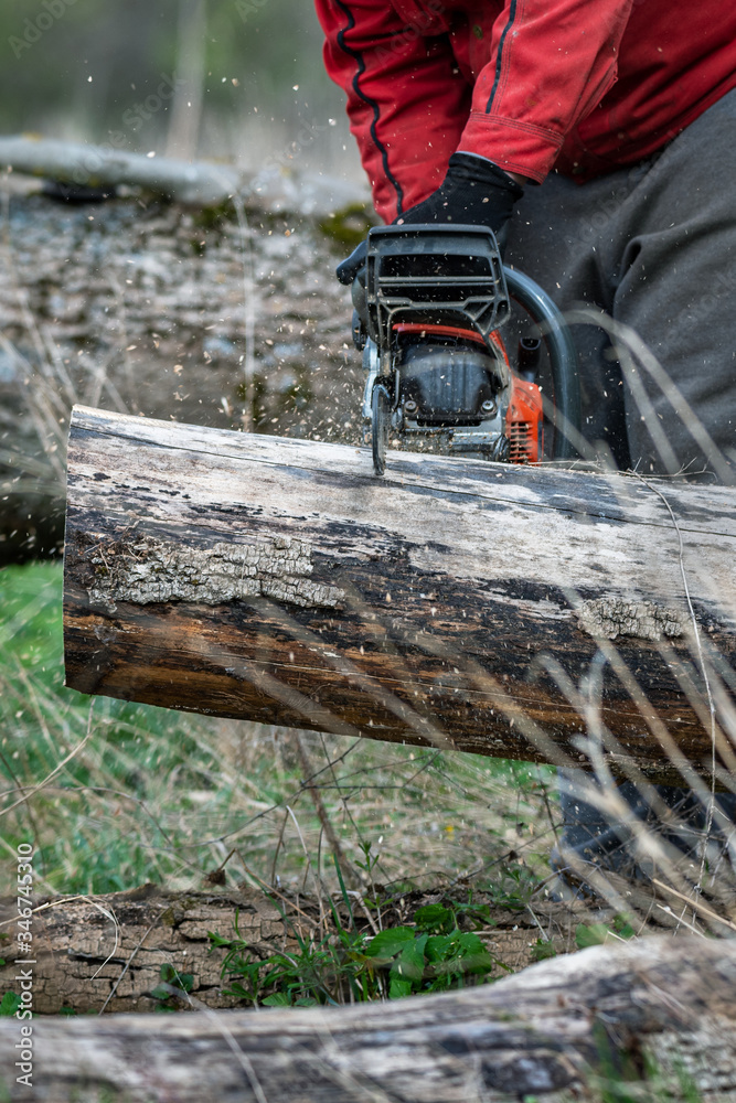 Wall mural Man works by chainsaw.