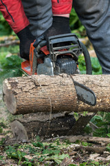 Man works by chainsaw.