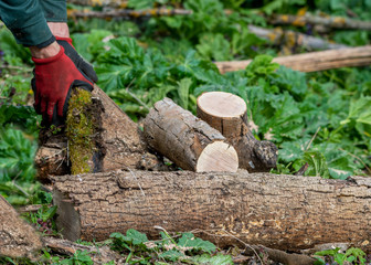 Fototapeta premium Man works by chainsaw.