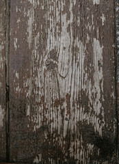 Obraz premium wood texture natural, texture background surface with old natural pattern, Natural oak texture with beautiful wooden grain, Walnut wood, wooden planks background, bark wood.