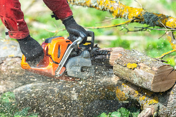 Man works by chainsaw.