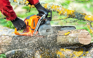 Man works by chainsaw.