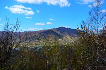 Spring in the Carpathian Mountains. Landscape of spring Carpathians. Spring Mountain landscape with blooming trees.