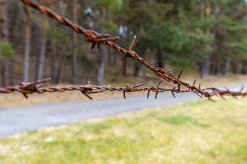 Langenstein Harz KZ Konzentrationslager