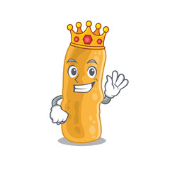 A Wise King of shigella flexneri mascot design style