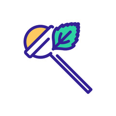 mint chupachups icon vector. mint chupachups sign. color symbol illustration