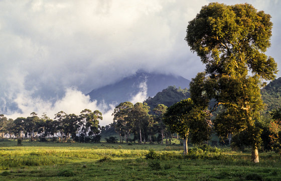 Parc National des Virunga, R&eacute;publique d&eacute;mocratique du Congo