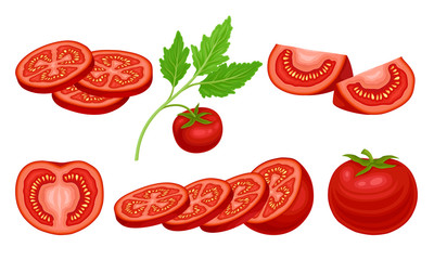 Ripe Red Tomato Vegetable Whole and Sliced Showing Juicy Flesh with Small Yellow Seeds Vector Set