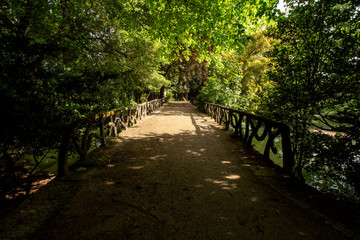 footpath in the park