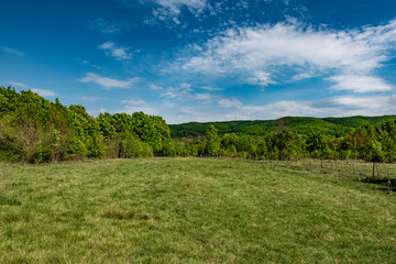 green field and sky