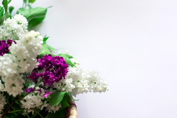 lilac bouquet on a white background