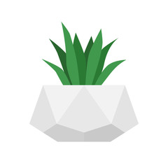 Flower in trendy geometric concrete pot. Vector isolated succulent plant. Home gardening
