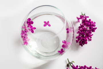 purple lilac in a round vase, round vase with water, glass round vase